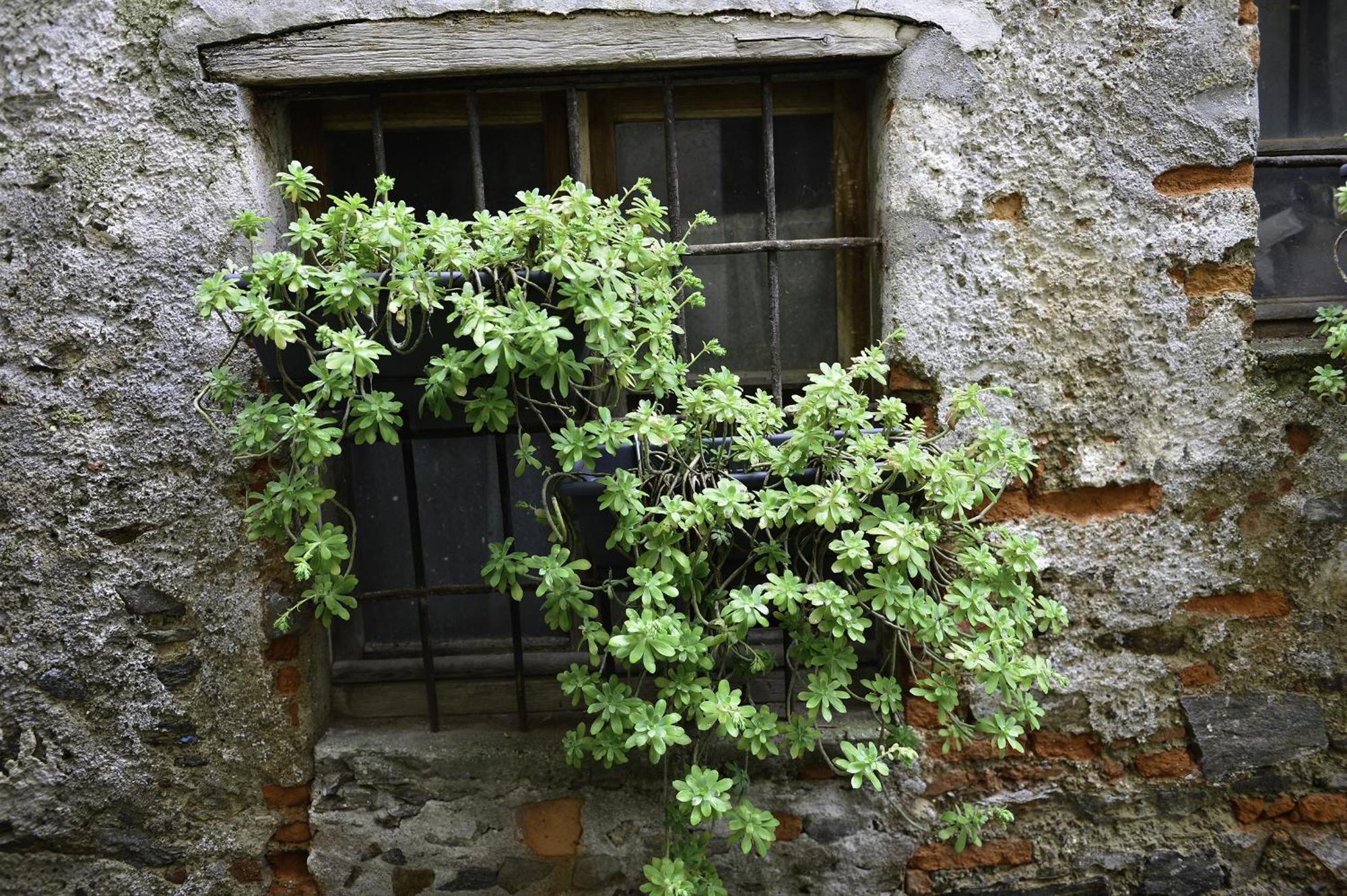 Appartamento A casa di Sole 1.5 Brovello-Carpugnino Esterno foto